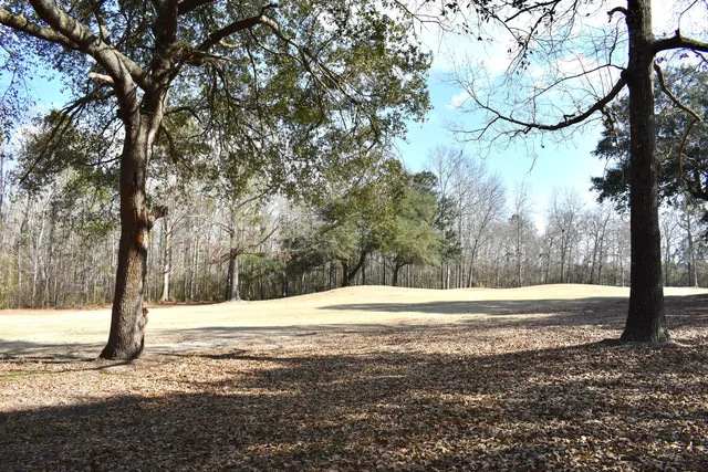 $45,000 | 21 Fairway Drive, Manning, SC 29102