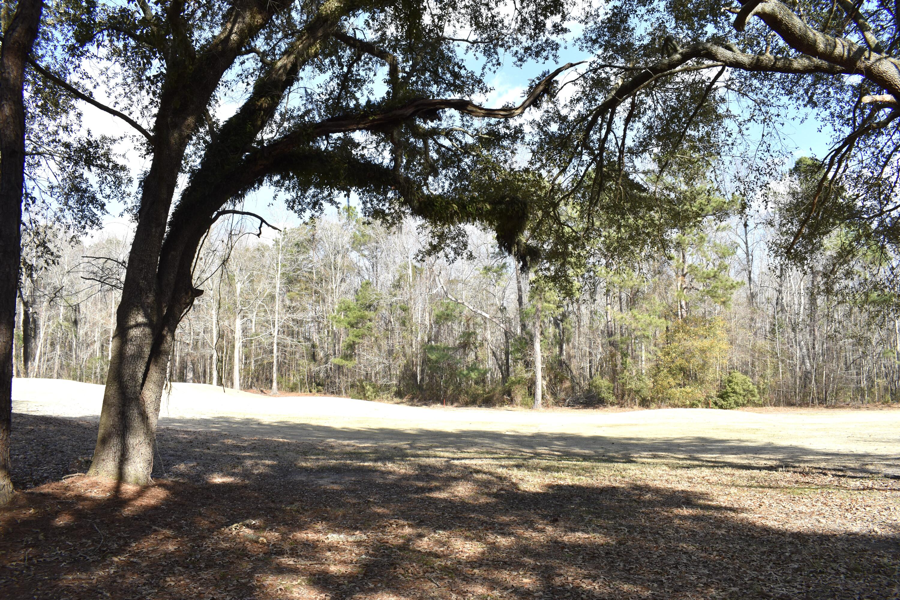 21 Fairway Drive Manning, SC 29102 - Photo 4 of 16 DSC_0063 2