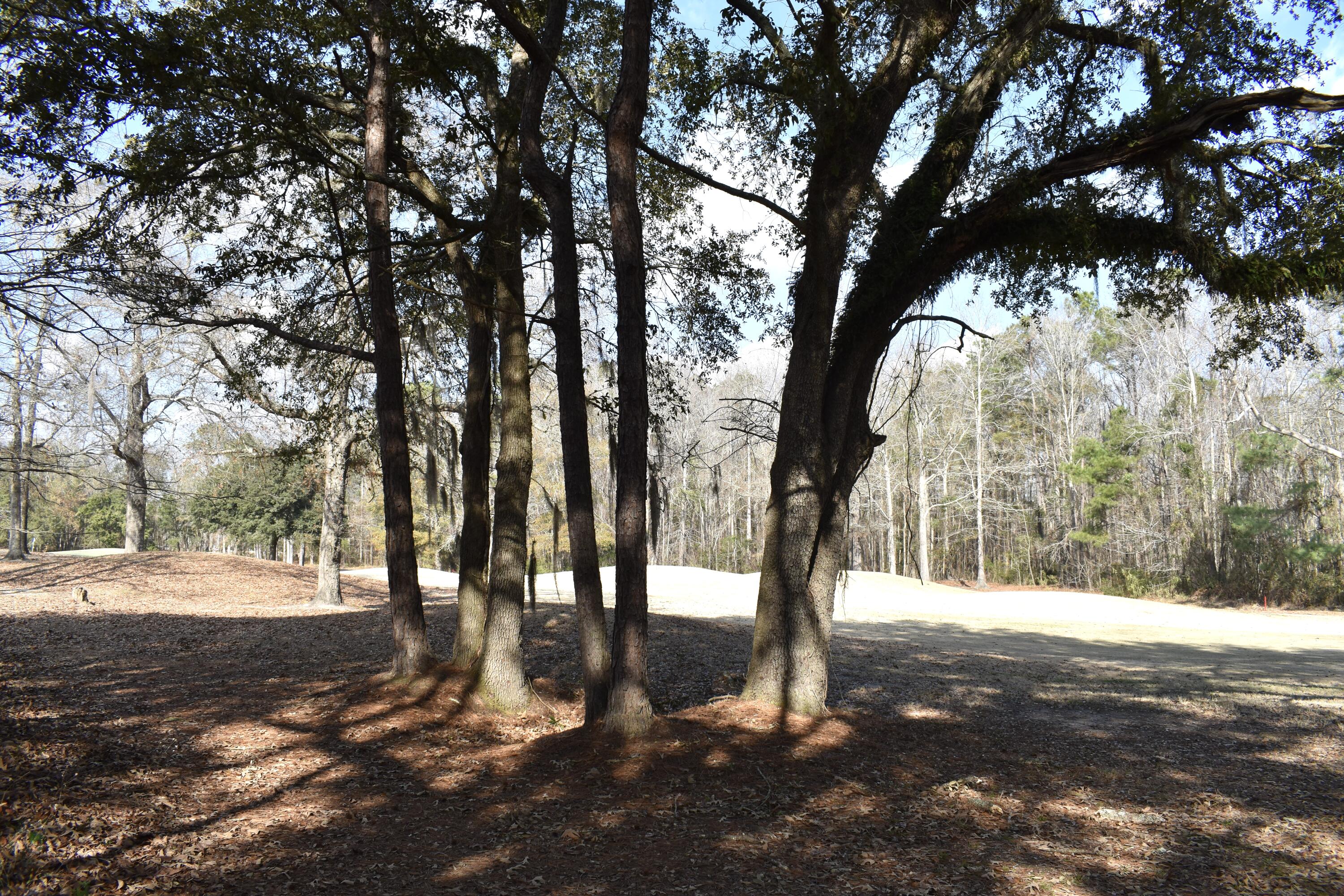 21 Fairway Drive Manning, SC 29102 - Photo 5 of 16 DSC_0064 2