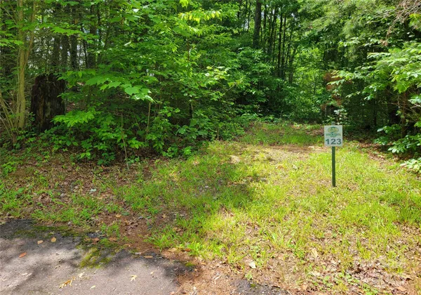 a view of yard with green space