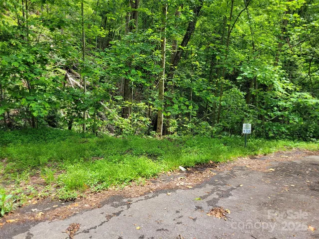 a view of a yard with plants and a trees