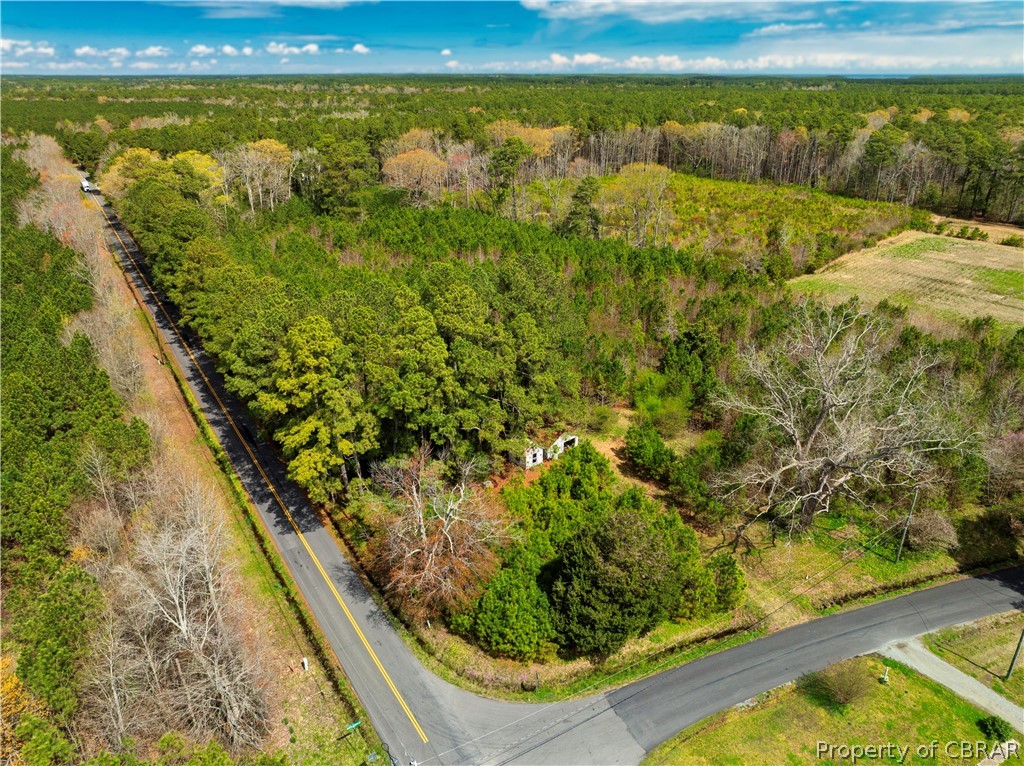 3220 Bethel Beach Road Onemo, VA 23130 - Photo 1 of 18 Gallery Image 1