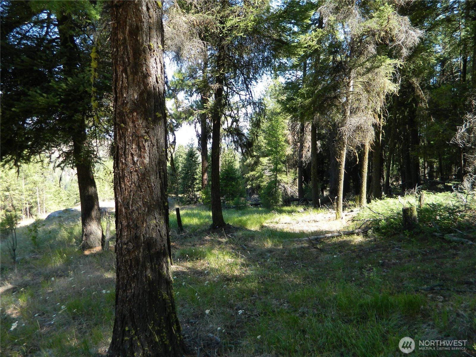 0 Tbd Snowbunny Ridge Drive Tonasket, WA 98855 - Photo 14 of 21 a view of backyard with green space