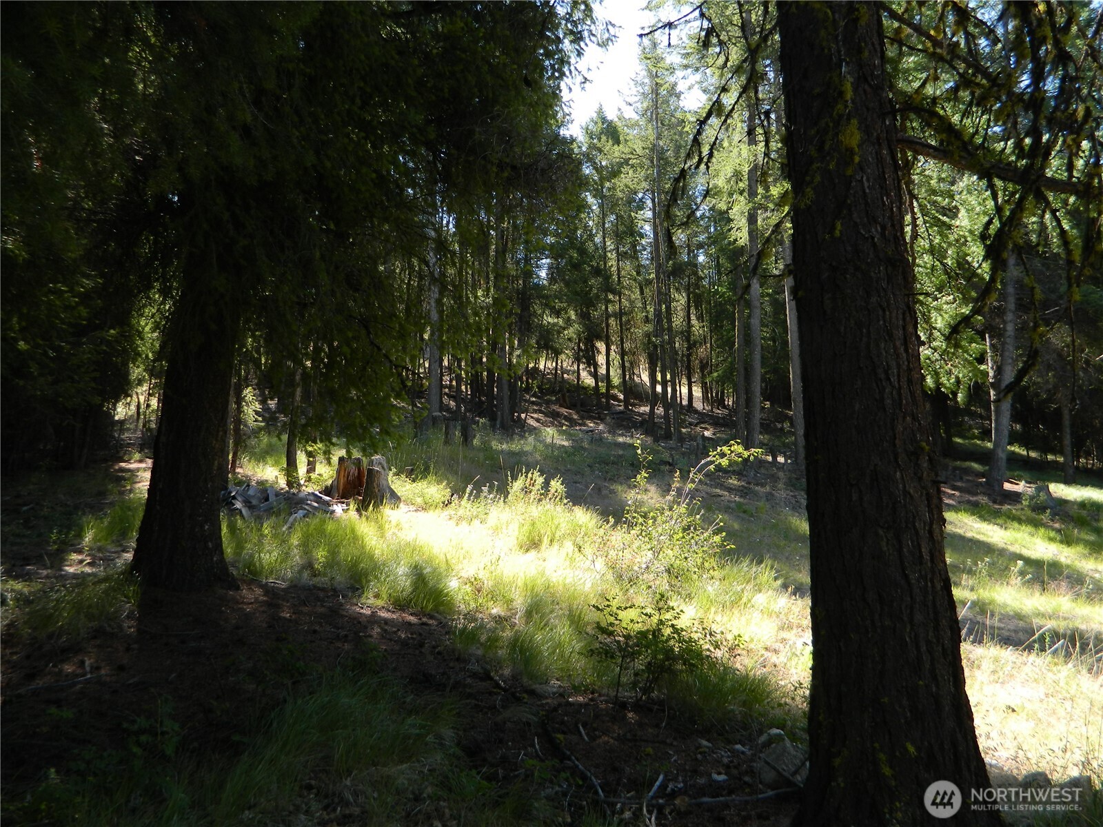 0 Tbd Snowbunny Ridge Drive Tonasket, WA 98855 - Photo 15 of 21 a view of lake from yard