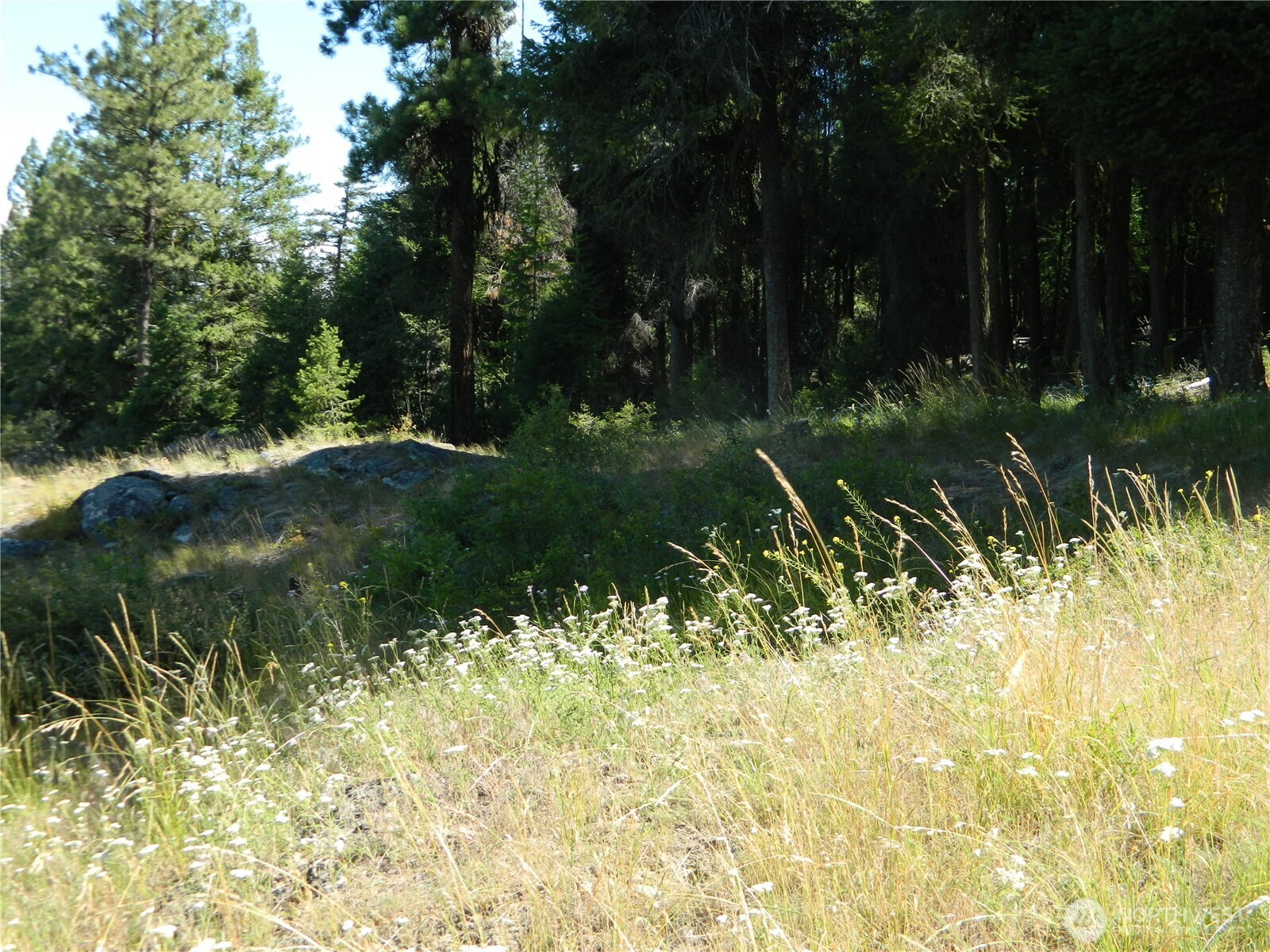 0 Tbd Snowbunny Ridge Drive Tonasket, WA 98855 - Photo 3 of 21 a swimming pool with green space