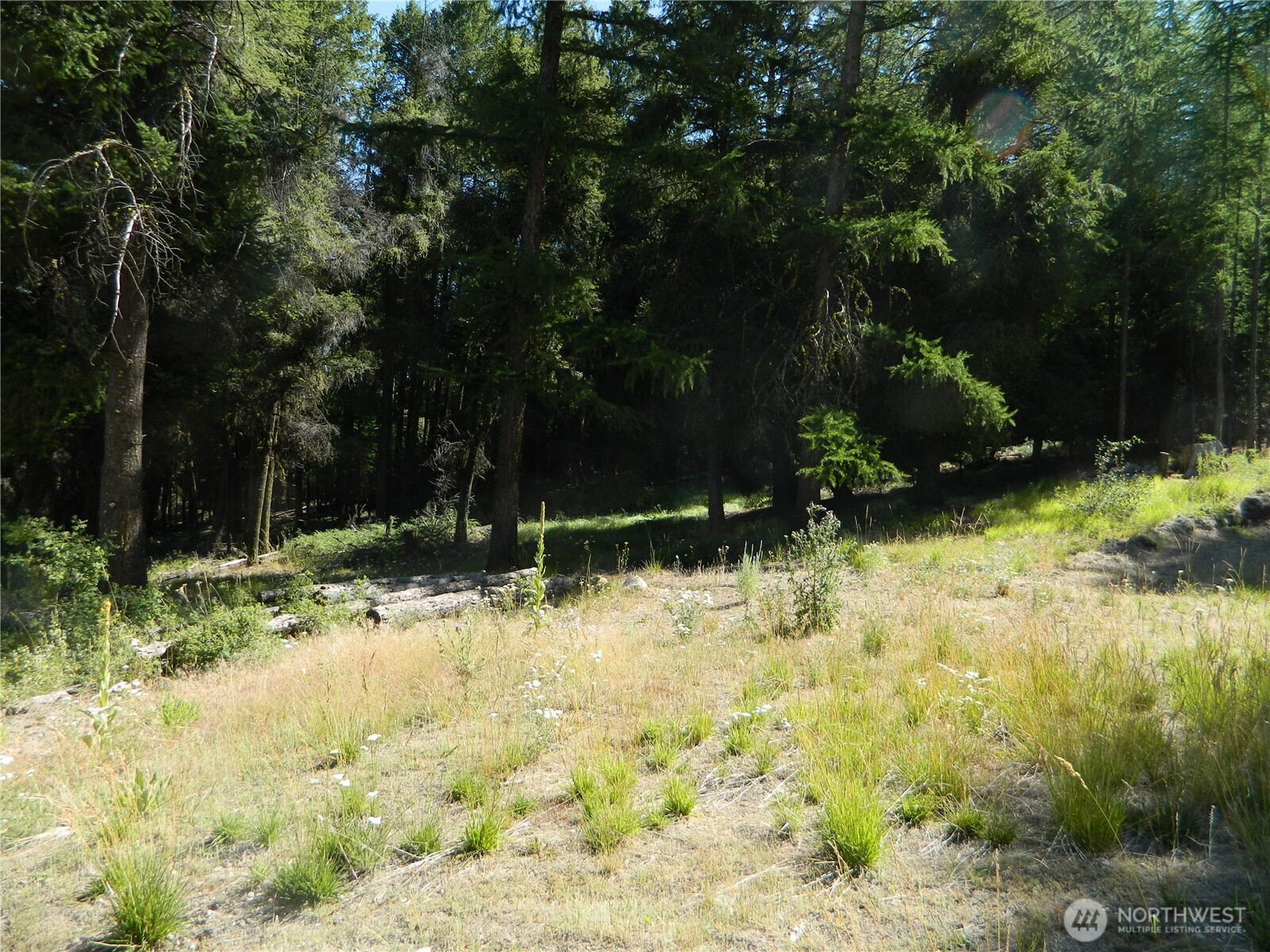 0 Tbd Snowbunny Ridge Drive Tonasket, WA 98855 - Photo 5 of 21 a view of backyard of green space