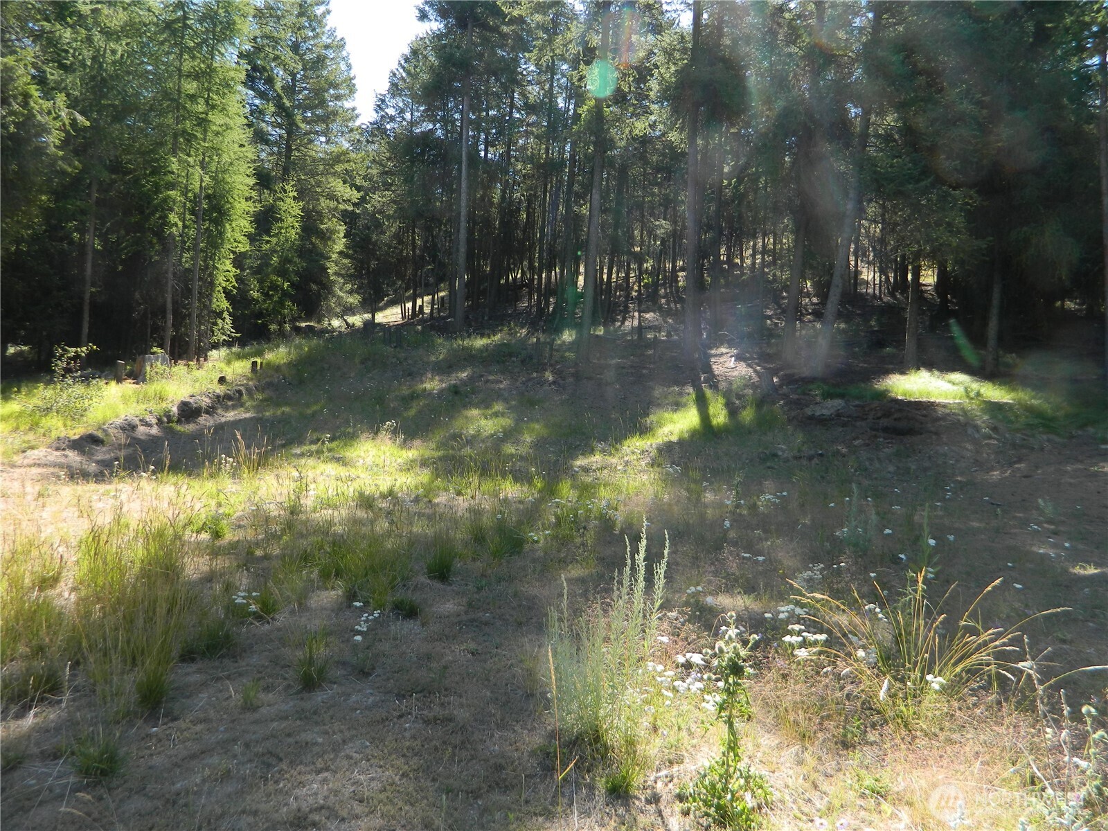 0 Tbd Snowbunny Ridge Drive Tonasket, WA 98855 - Photo 6 of 21 a view of water pond with green space