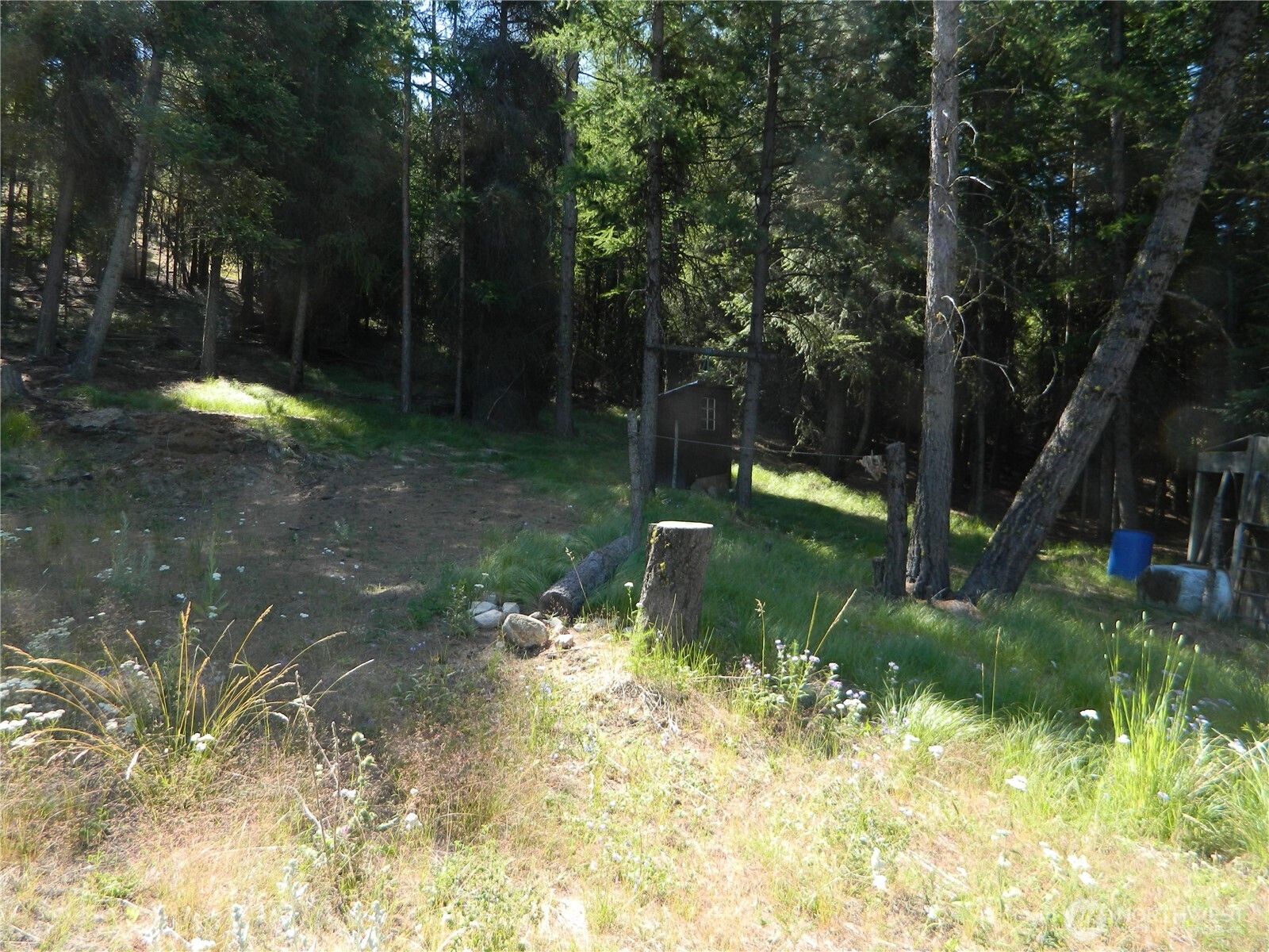 0 Tbd Snowbunny Ridge Drive Tonasket, WA 98855 - Photo 7 of 21 a backyard of a house with lots of green space