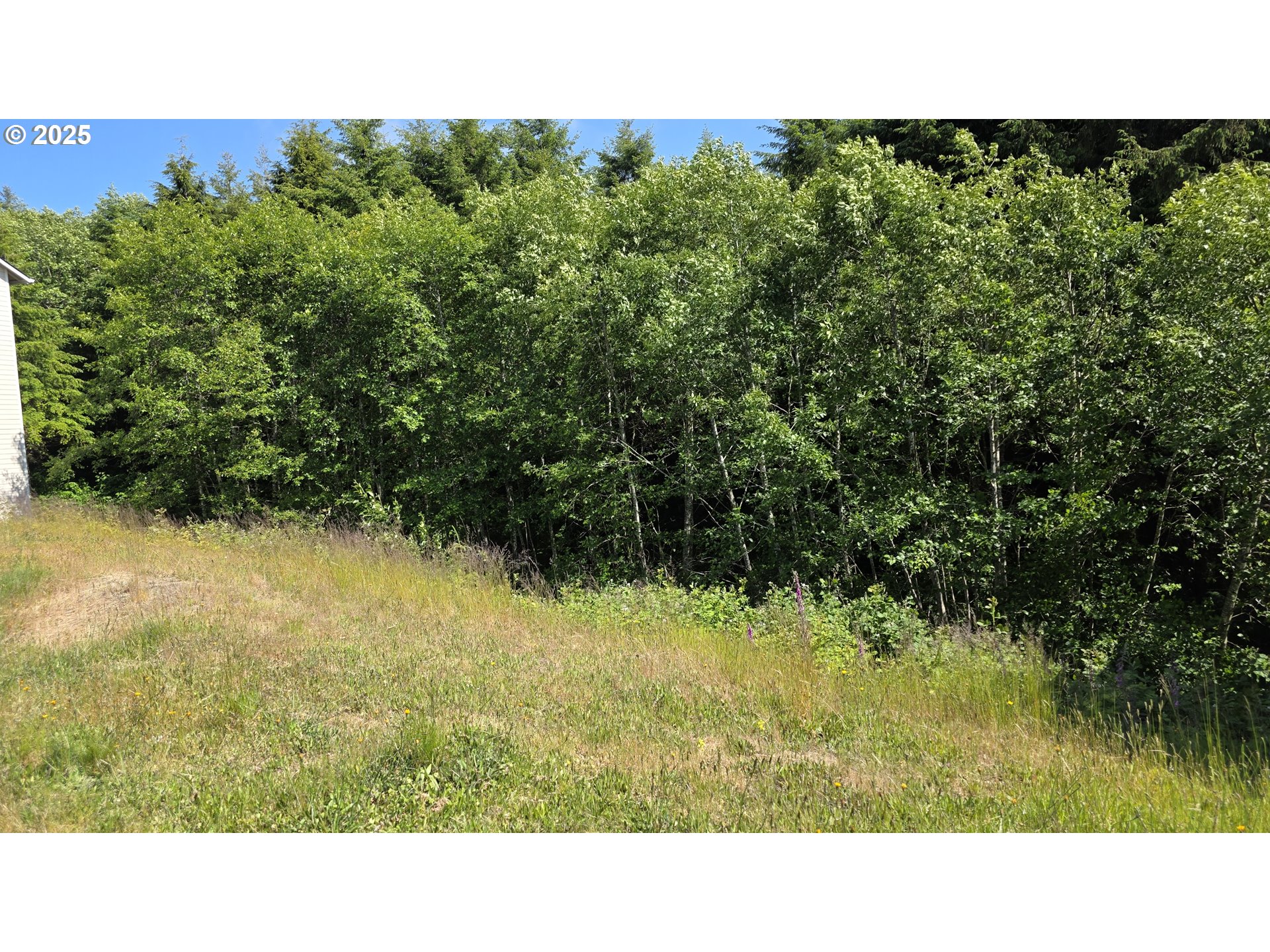 a black and white photo of a lake