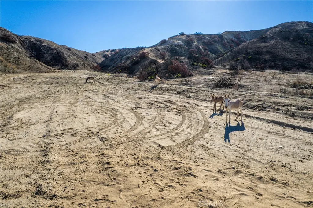 0 Smiley Redlands, CA 92373 - Photo 8 of 18 a view of a dry yard with mountains in the background