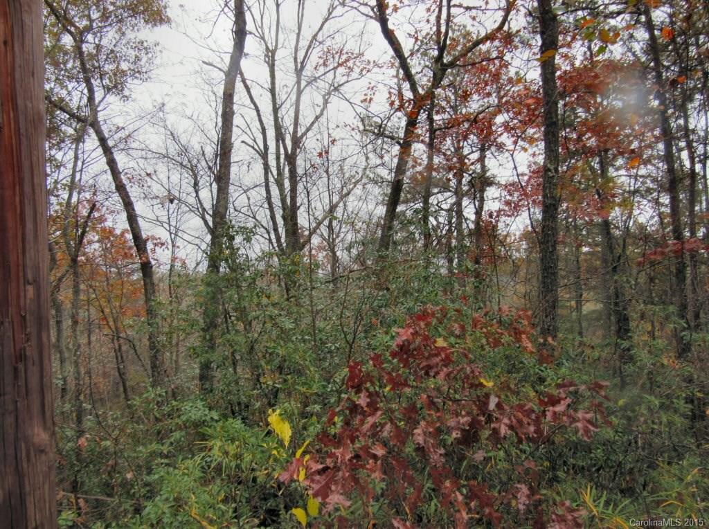 Lot 10 Oak Laurel Road, Unit 10 Brevard, NC 28712 - Photo 2 of 5 Gallery Image 2