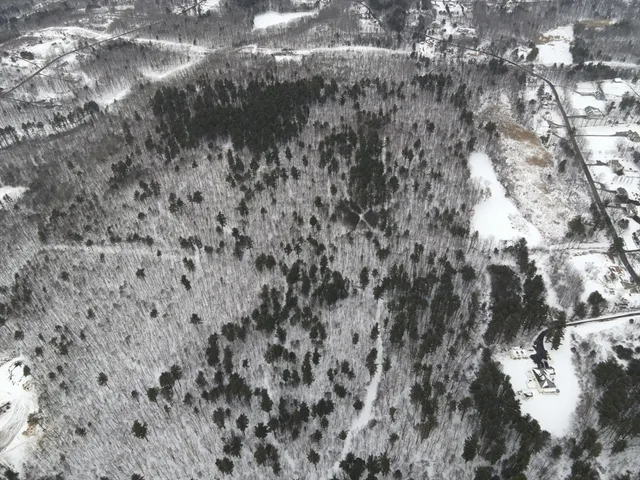 a view of a dry yard