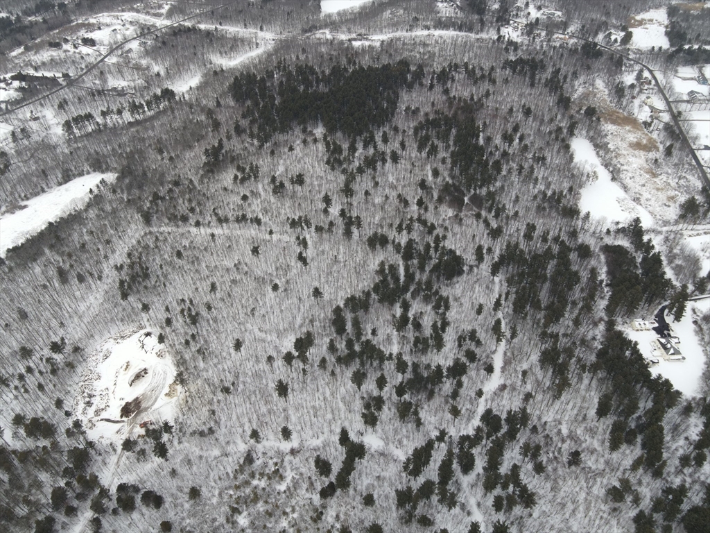 0 Freeman Road Charlton, MA 01507 - Photo 4 of 4 a view of a dry yard