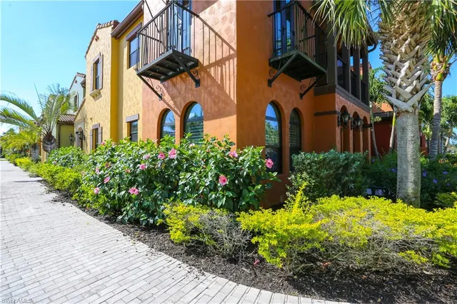 a view of a garden with plants