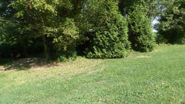 63 Rogers Road Moss, TN 38575 - Photo 38 of 50
