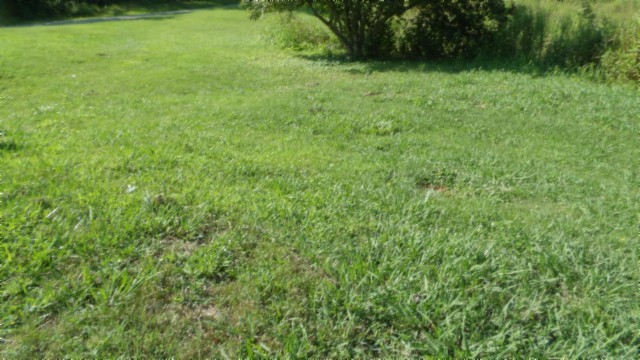 63 Rogers Road Moss, TN 38575 - Photo 39 of 50