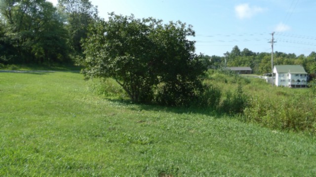 63 Rogers Road Moss, TN 38575 - Photo 42 of 50