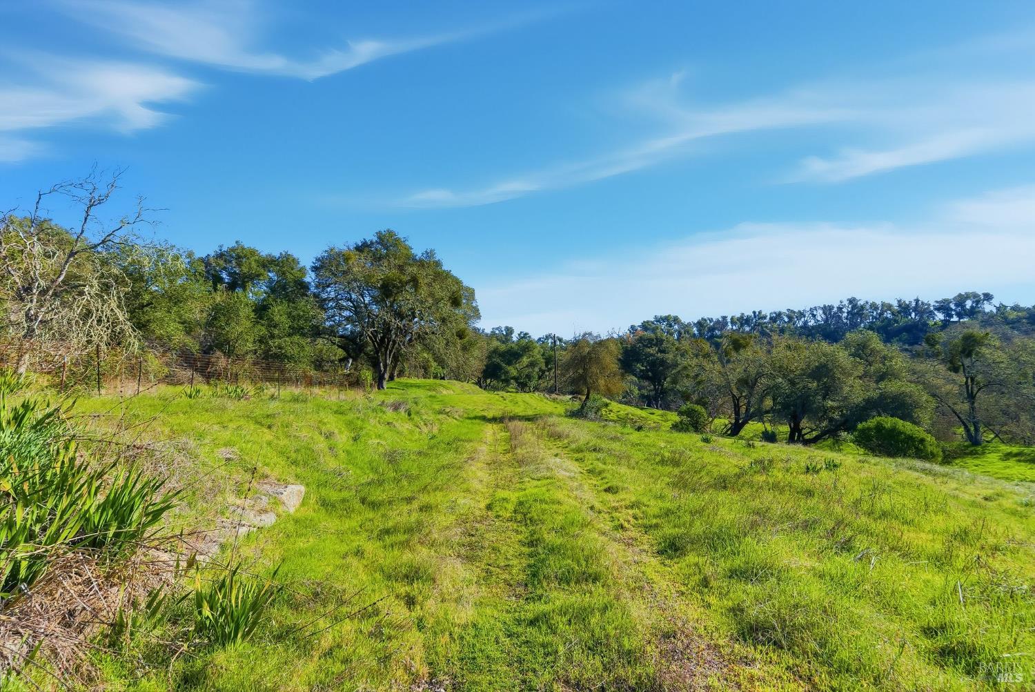 1477 Leslie Road Healdsburg, CA 95448 - Photo 18 of 40 a view of a big yard with large trees