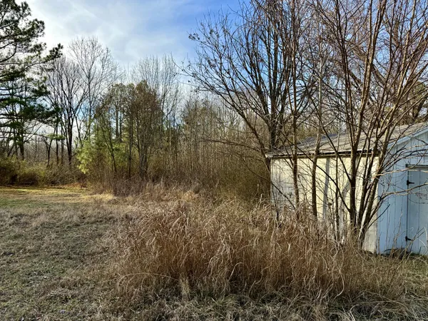 a view of a yard with trees