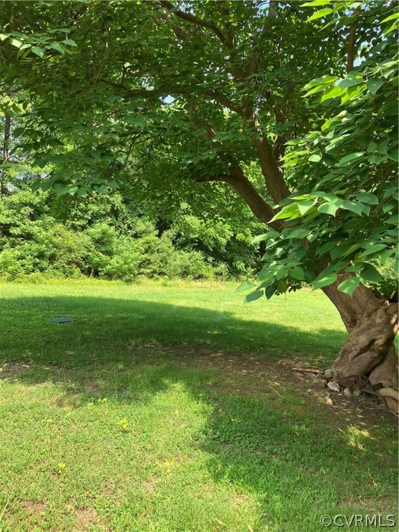 10228 Jamestown Road Ashland, VA 23005 - Photo 3 of 3 Gallery Image 3