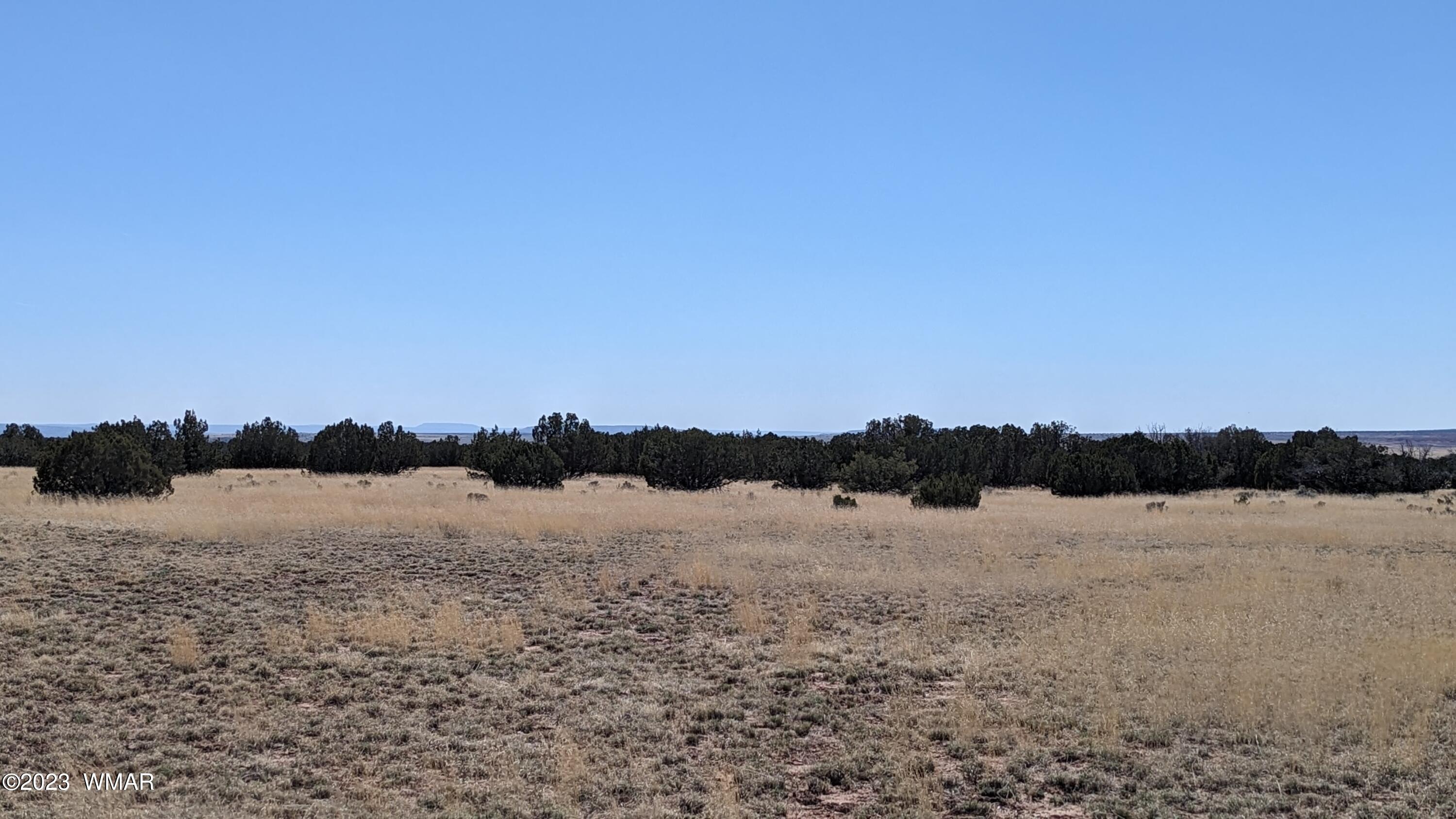 St-johns Az 85936 Ranch St. Johns, AZ 85936 - Photo 11 of 21