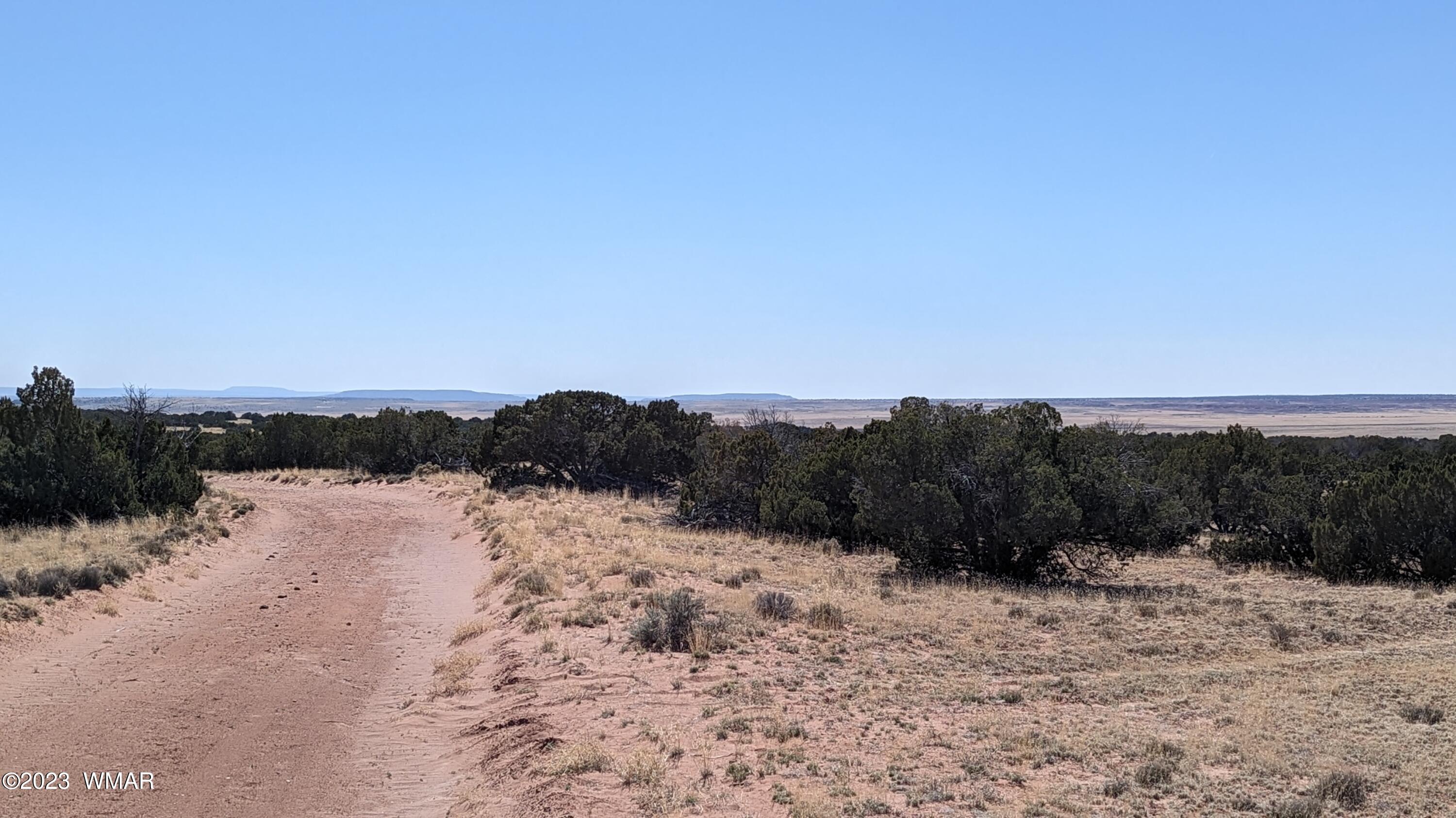 St-johns Az 85936 Ranch St. Johns, AZ 85936 - Photo 12 of 21
