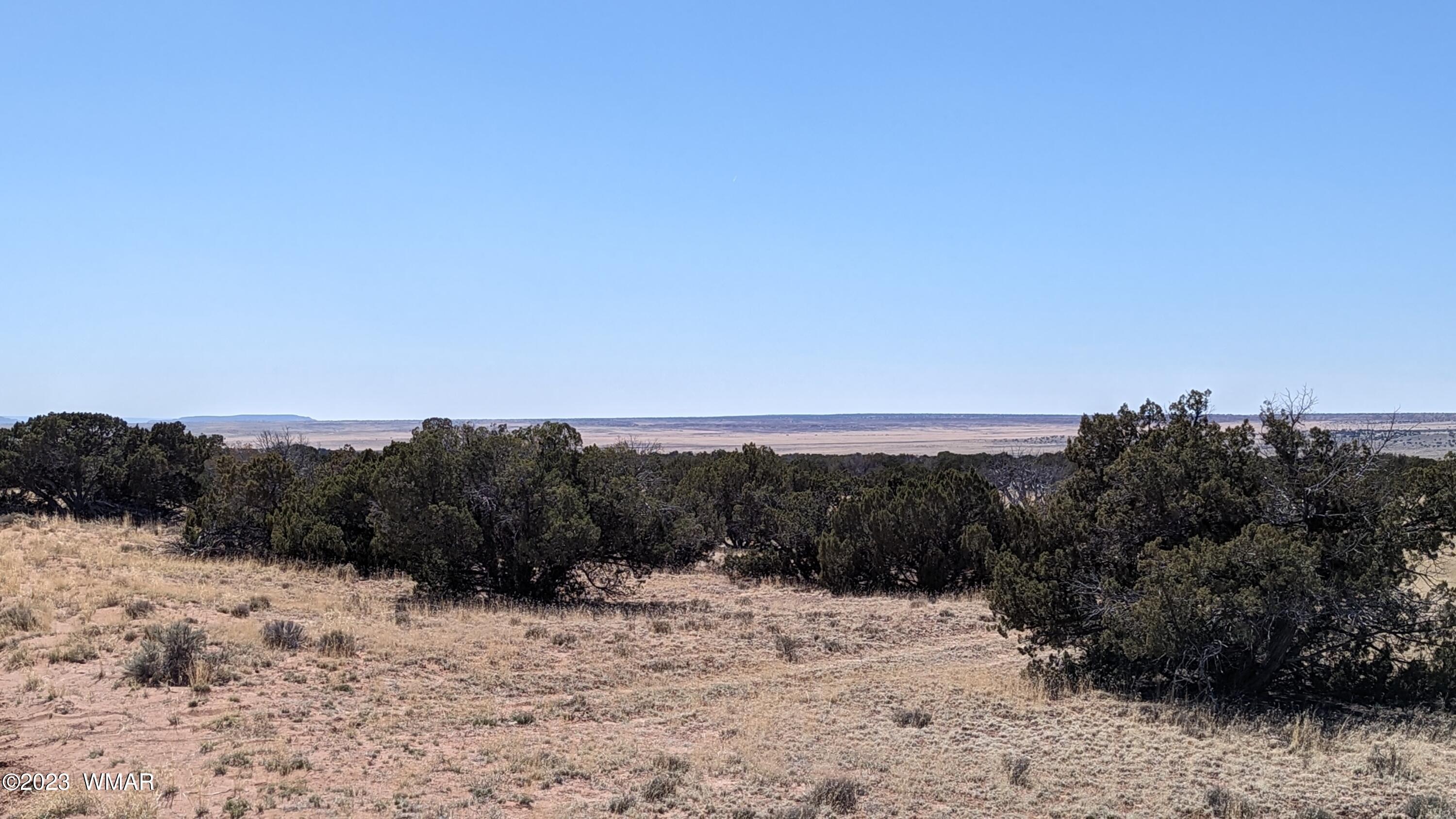 St-johns Az 85936 Ranch St. Johns, AZ 85936 - Photo 13 of 21