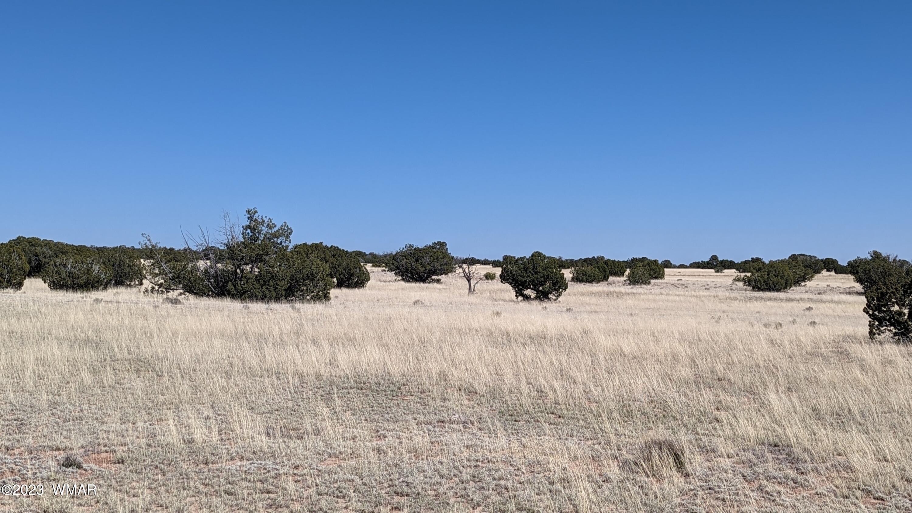 St-johns Az 85936 Ranch St. Johns, AZ 85936 - Photo 3 of 21
