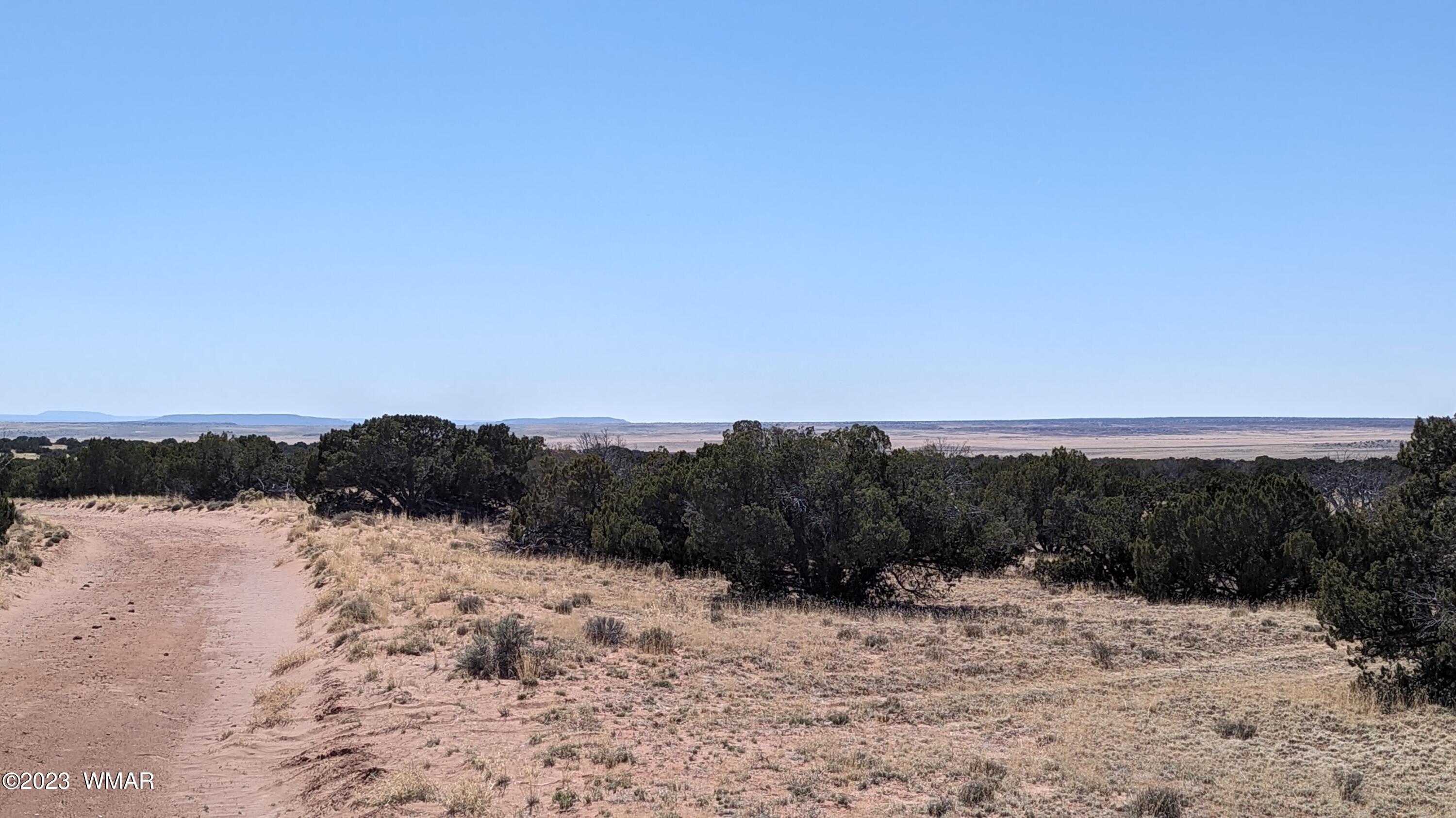 St-johns Az 85936 Ranch St. Johns, AZ 85936 - Photo 6 of 21