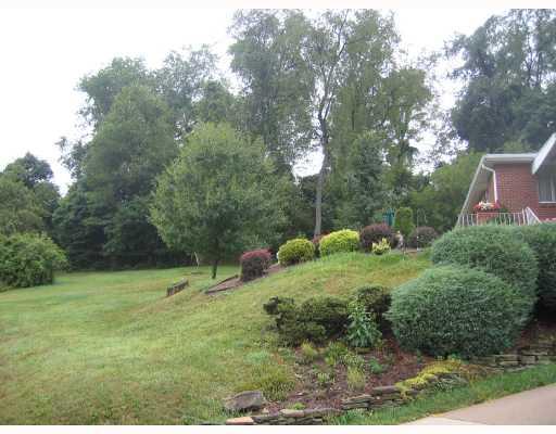1121 Schang Road Pittsburgh, PA 15236 - Photo 11 of 11 Yard/Garden. Double lot