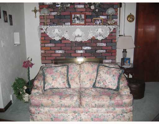 1121 Schang Road Pittsburgh, PA 15236 - Photo 3 of 11 Living Room. Fireplace is log burning