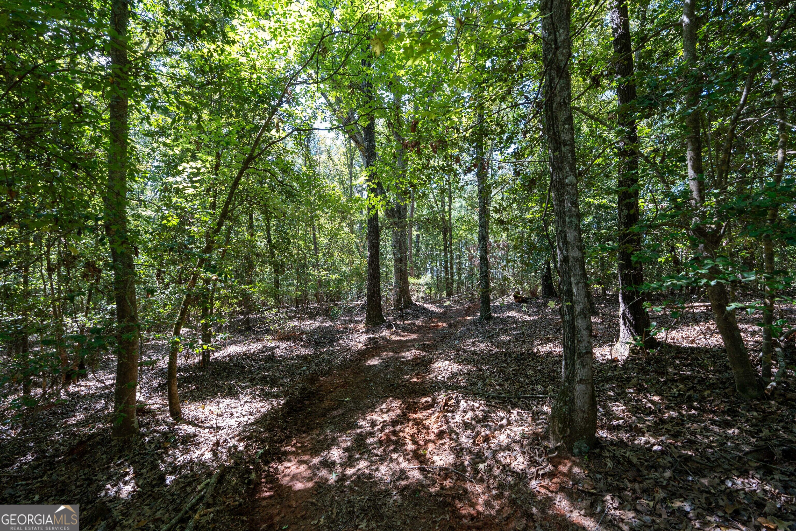 1419 Bobby Brown State Park Road Elberton, GA 30635 - Photo 17 of 90 Gallery Image 17
