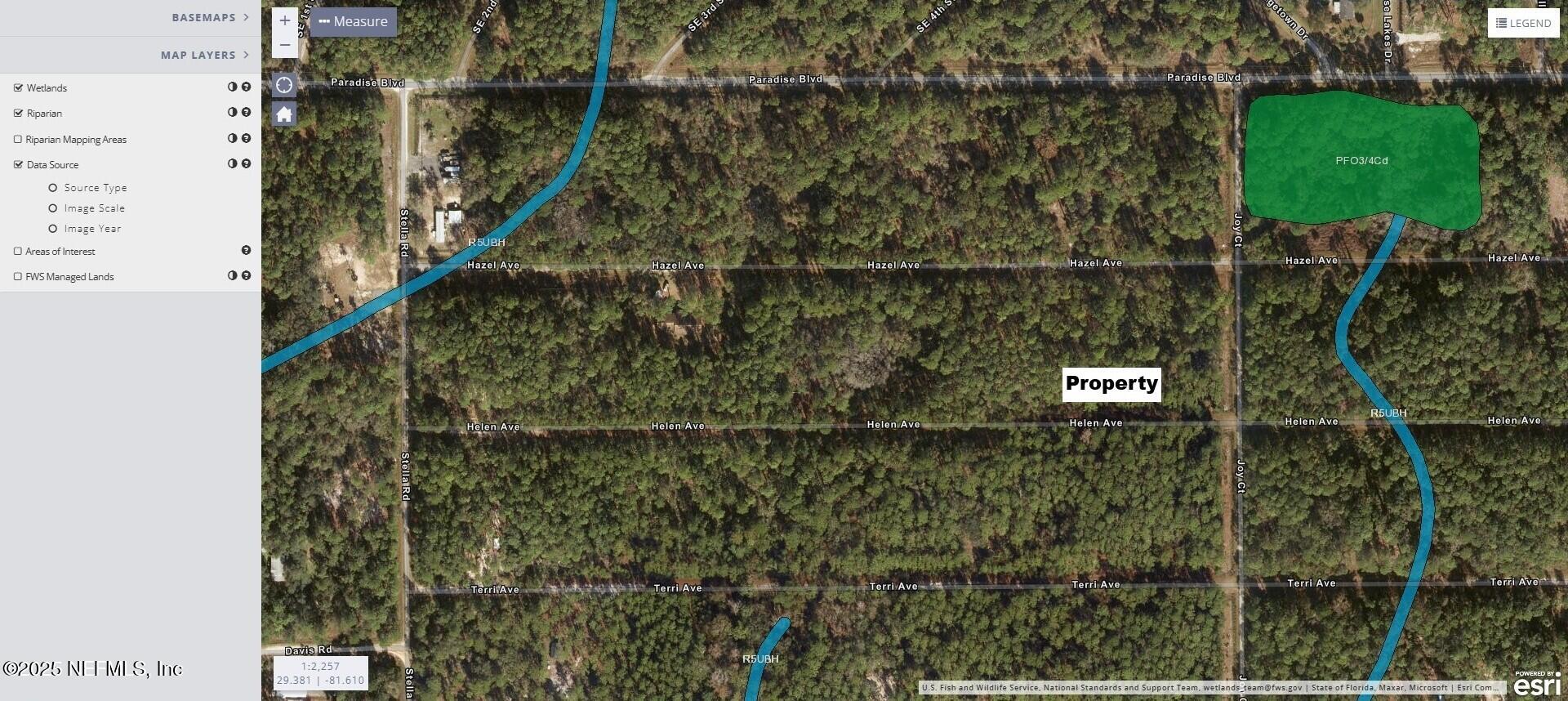 136 Helen Avenue Georgetown, FL 32139 - Photo 13 of 25