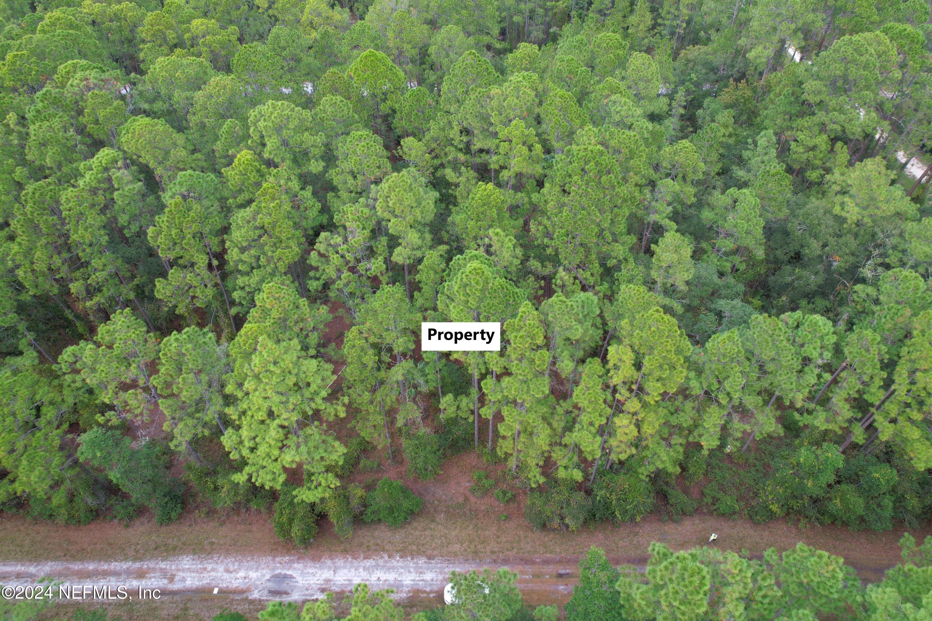 136 Helen Avenue Georgetown, FL 32139 - Photo 2 of 25 a view of a street sign