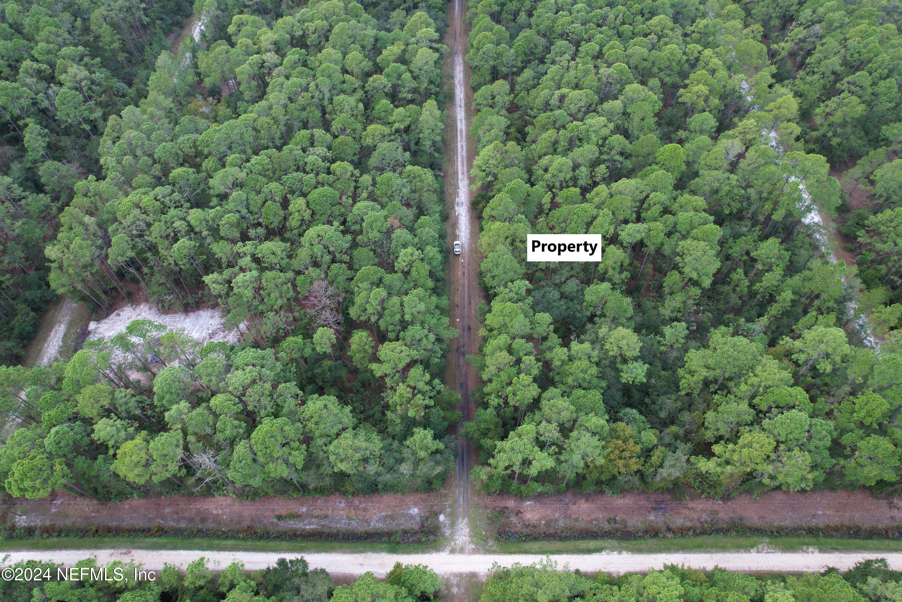 136 Helen Avenue Georgetown, FL 32139 - Photo 3 of 25 a sign that is in front of a tree