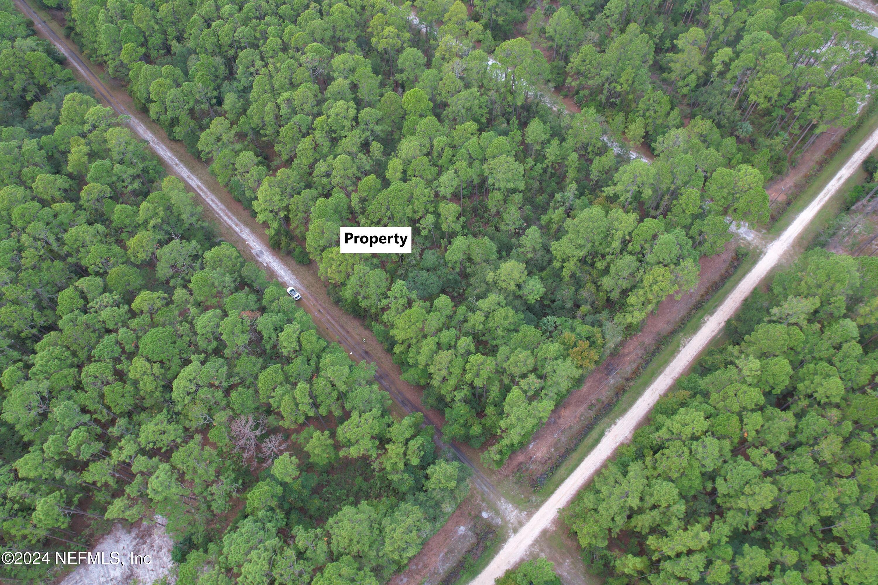 136 Helen Avenue Georgetown, FL 32139 - Photo 4 of 25 a view of a forest from a balcony