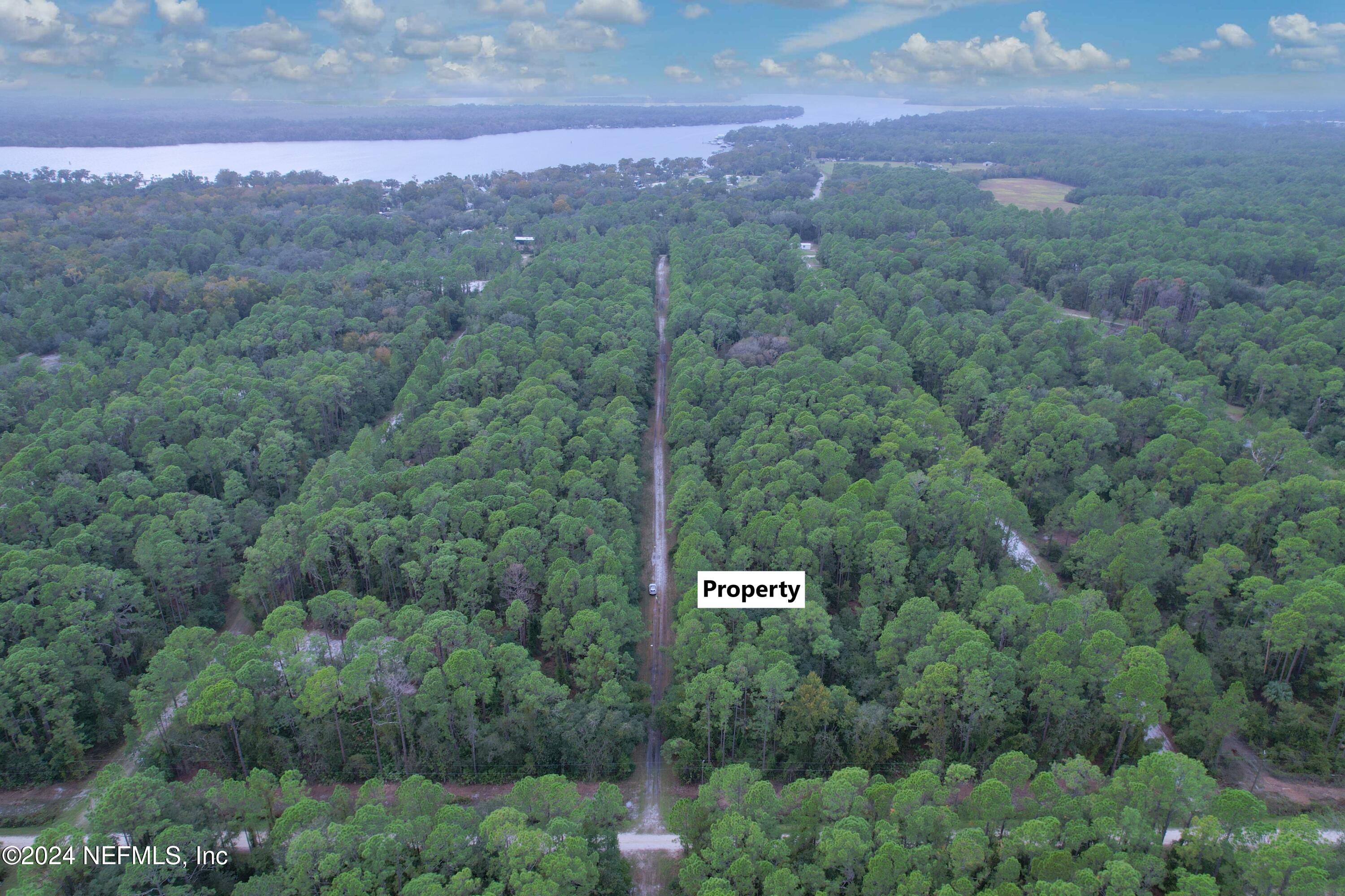 136 Helen Avenue Georgetown, FL 32139 - Photo 5 of 25 a view of a city with lush green forest