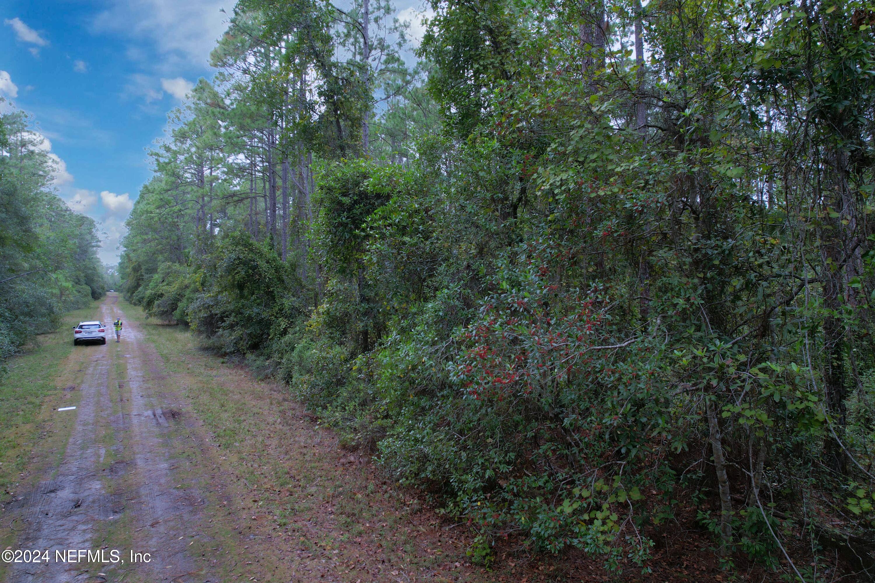 136 Helen Avenue Georgetown, FL 32139 - Photo 7 of 25 a view of a road with plants and trees