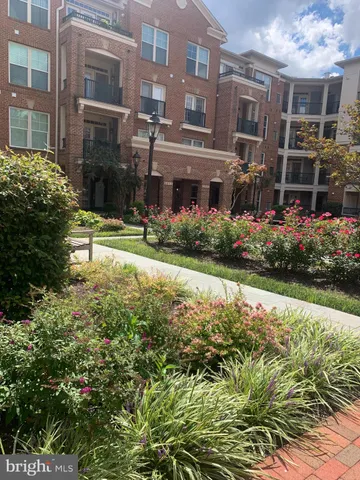 a view of a house with a yard and plants