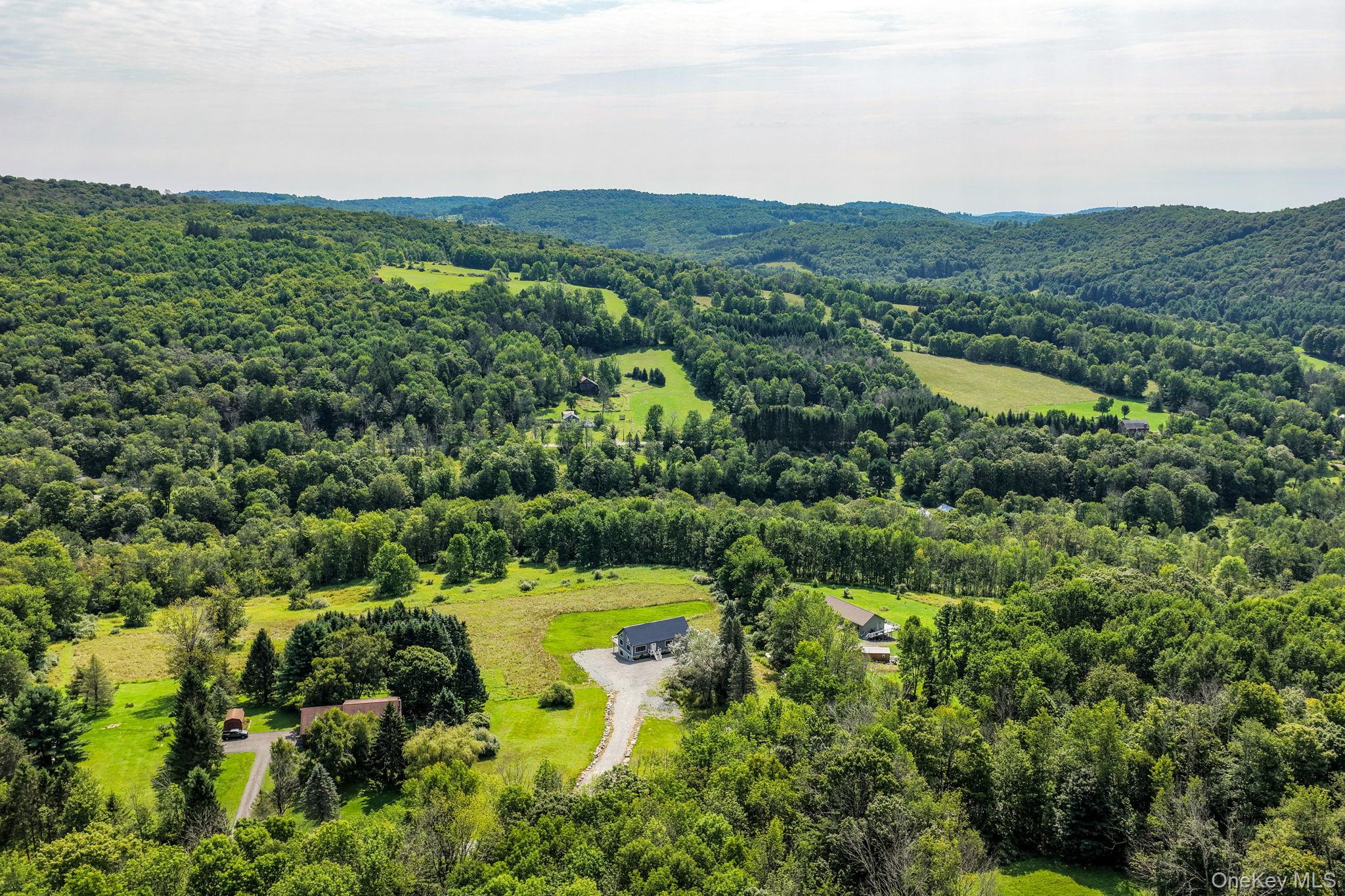 129 Nelson Road Hankins, NY 12741 - Photo 47 of 49 Gallery Image 47