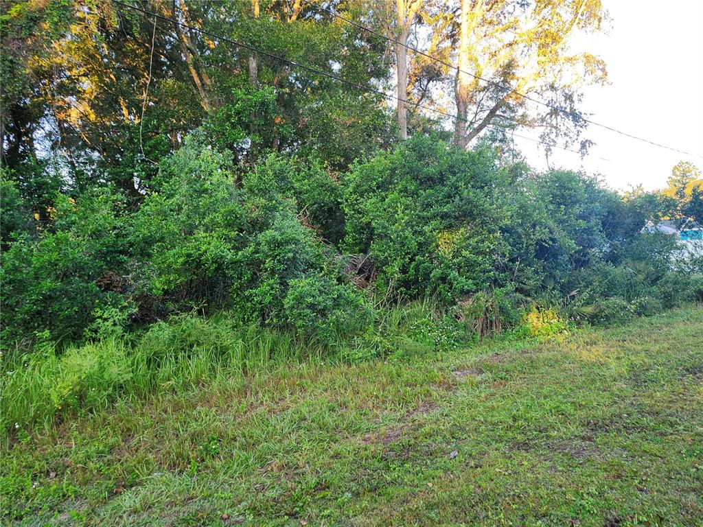 90 Cedar Road Ocala, FL 34472 - Photo 1 of 1 Gallery Image 1