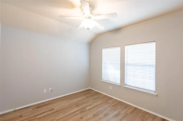 a view of a yard with plants and a large tree