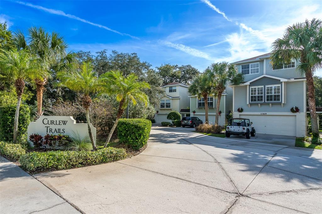 1381 Curlew Road Dunedin, FL 34698 - Photo 3 of 37