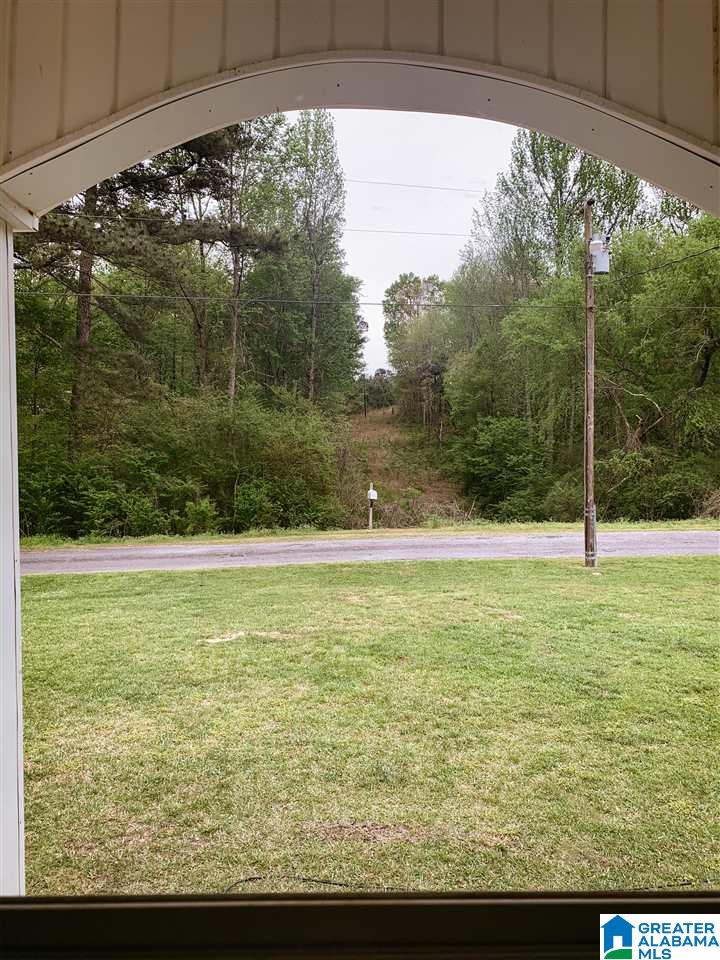 1103 Old Mill Road Blountsville, AL 35031 - Photo 4 of 37