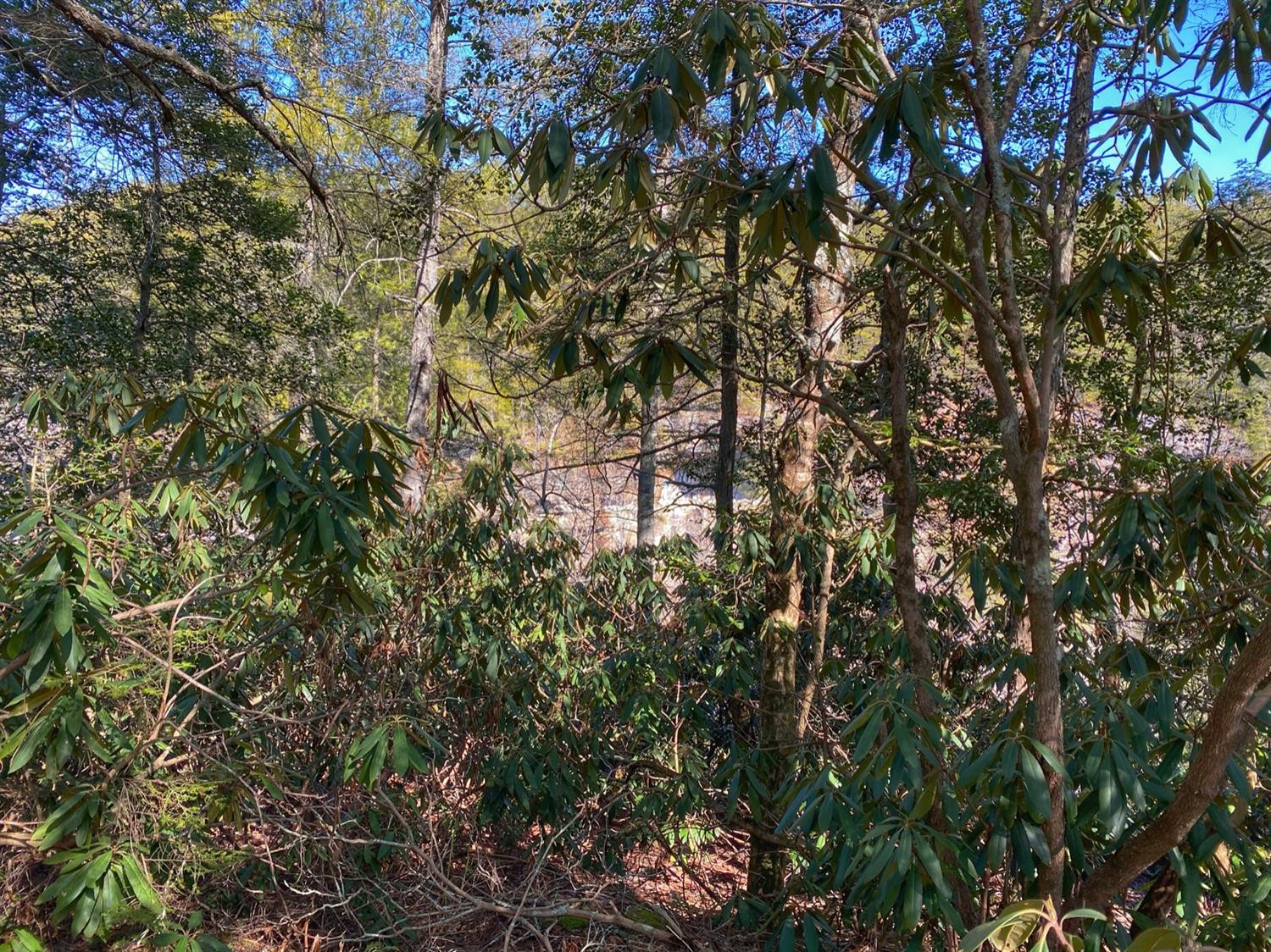 1 Sandy Ridge Road Campton, KY 41301 - Photo 13 of 33 Photo 13