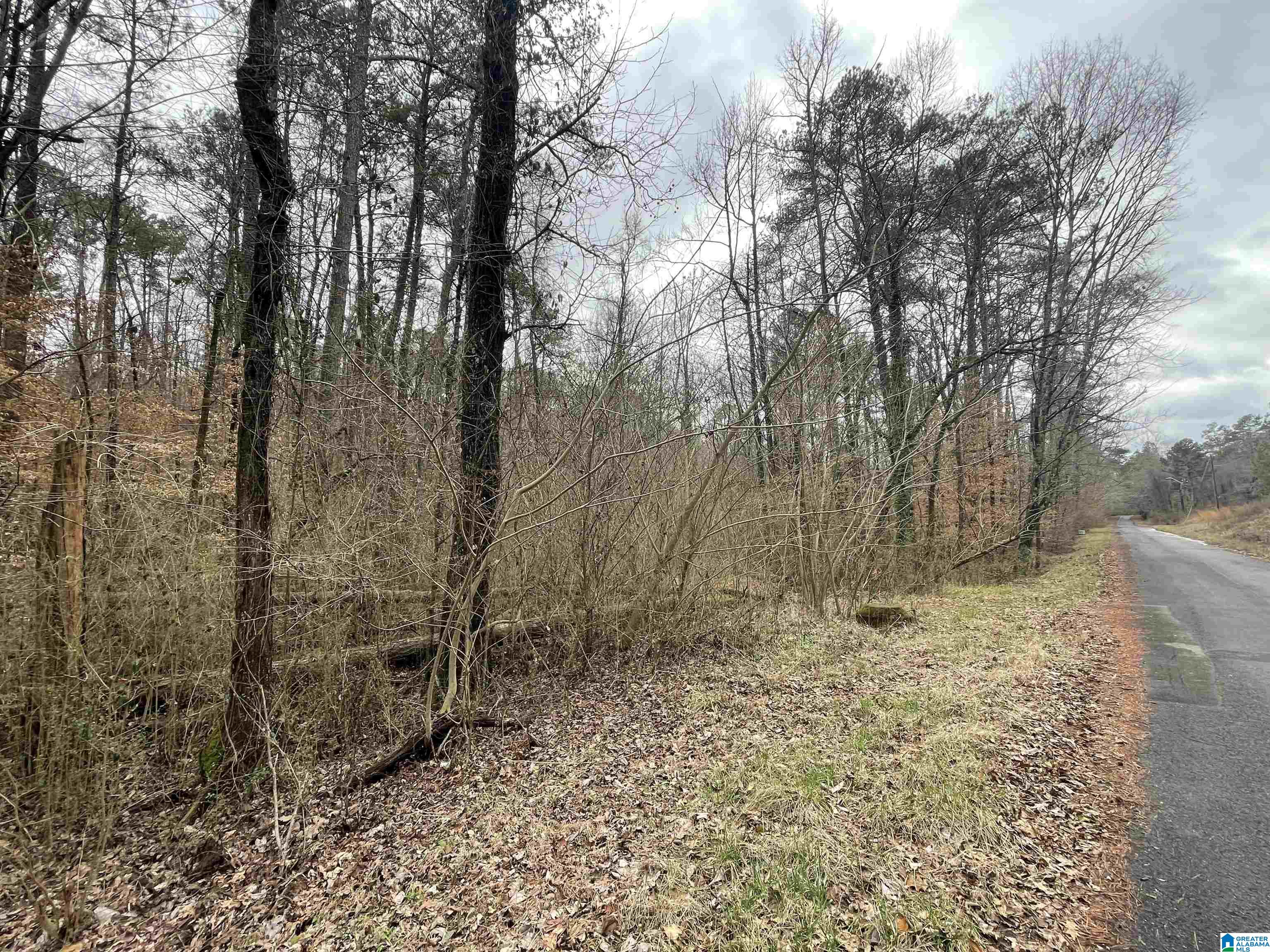 140 Warrior Robbins Road, Unit 2 Warrior, AL 35180 - Photo 1 of 6