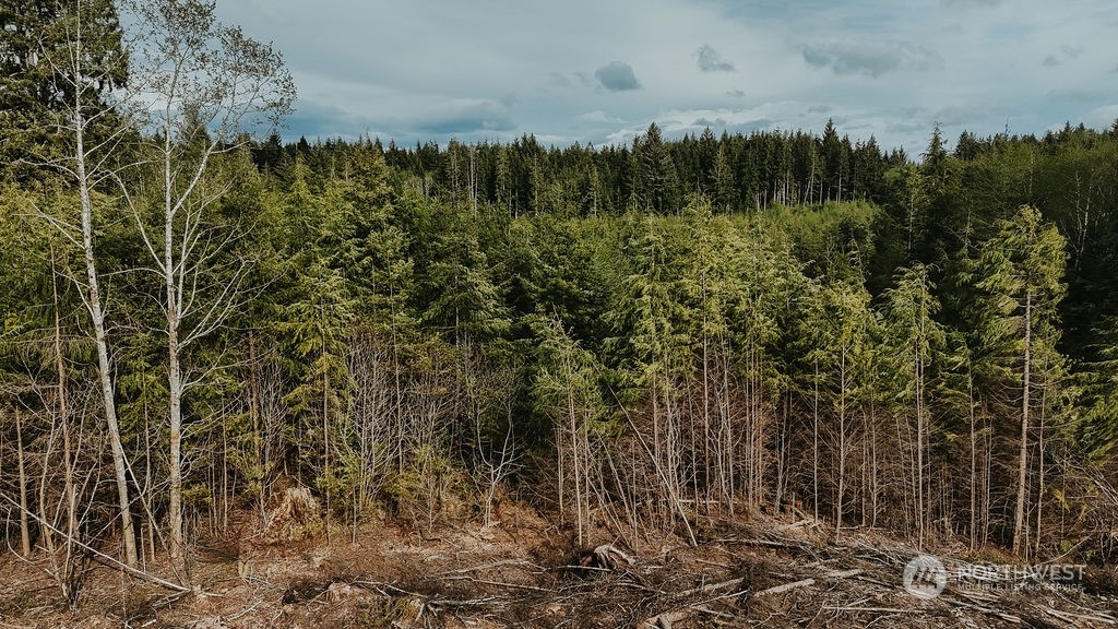 9999 Mora Road Forks, WA 98331 - Photo 11 of 15