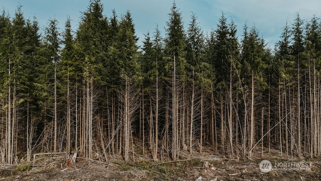 9999 Mora Road Forks, WA 98331 - Photo 12 of 15