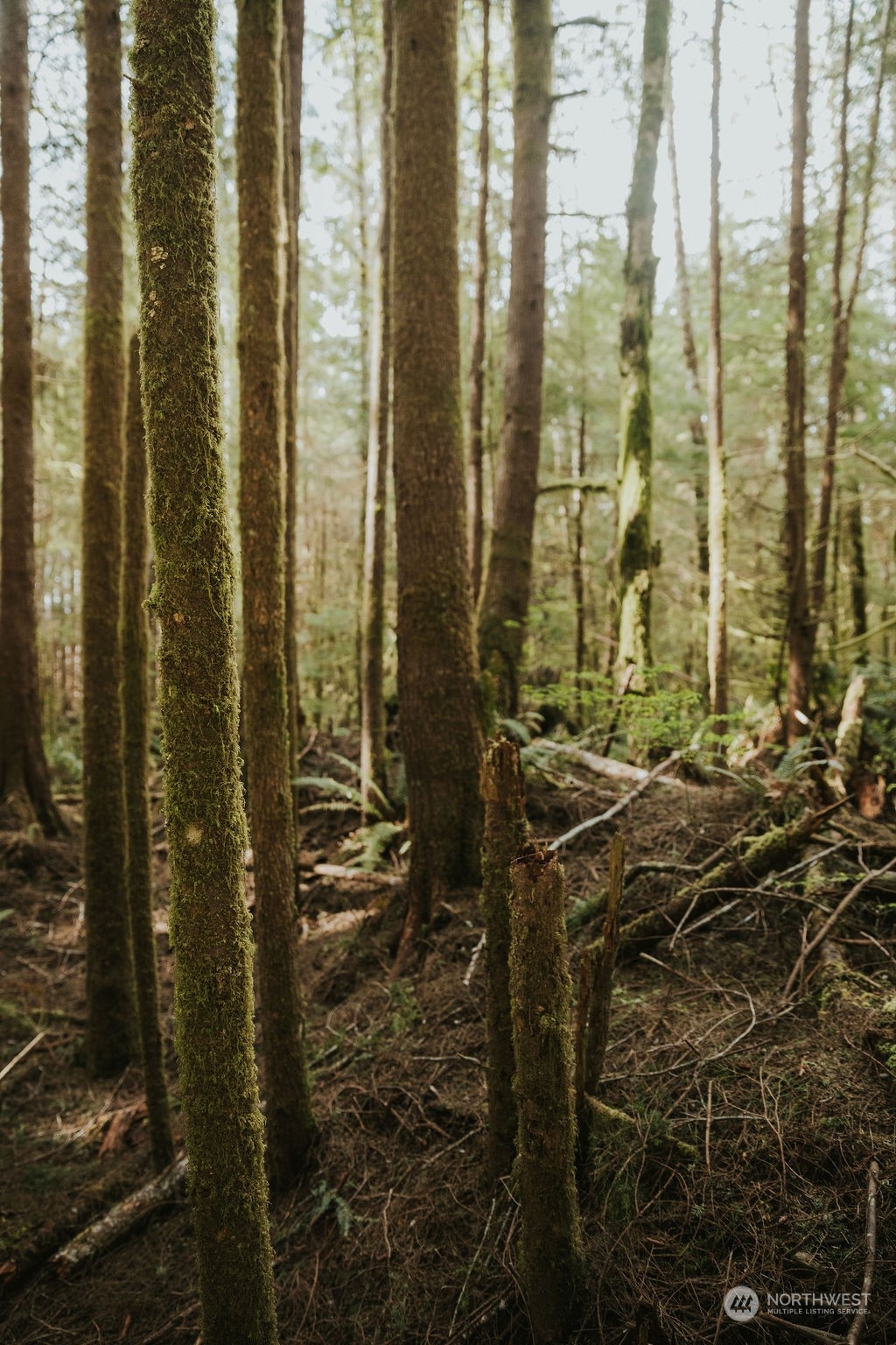 9999 Mora Road Forks, WA 98331 - Photo 2 of 15