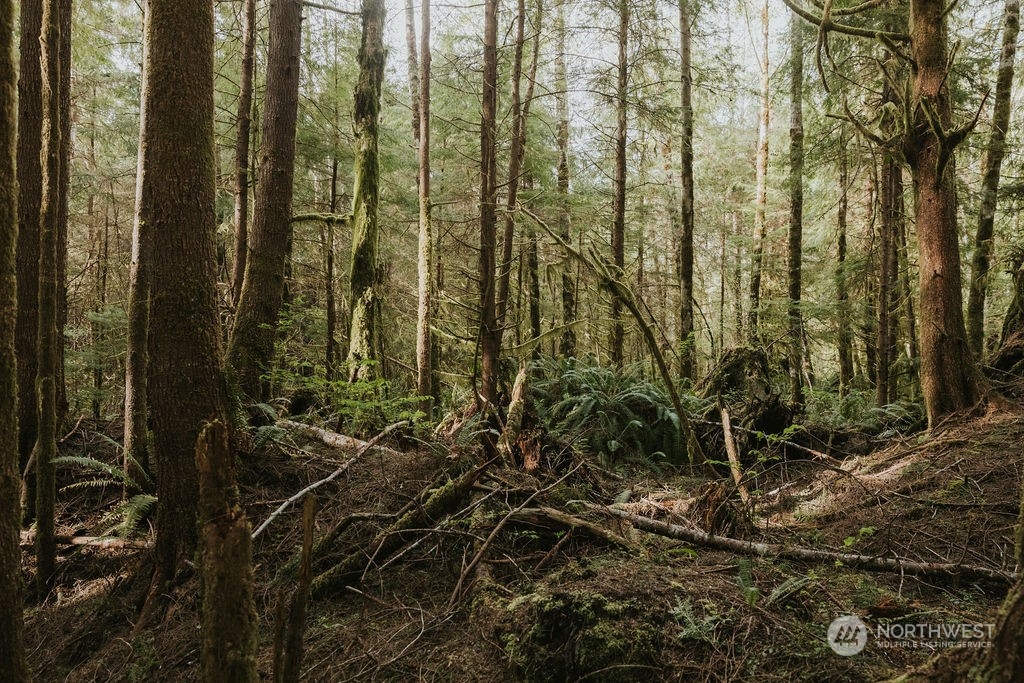 9999 Mora Road Forks, WA 98331 - Photo 3 of 15